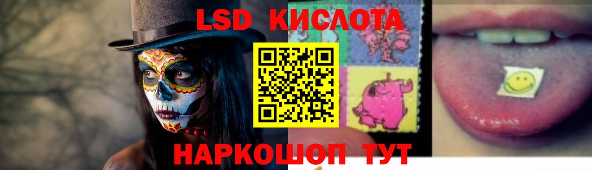Метадон Гусев